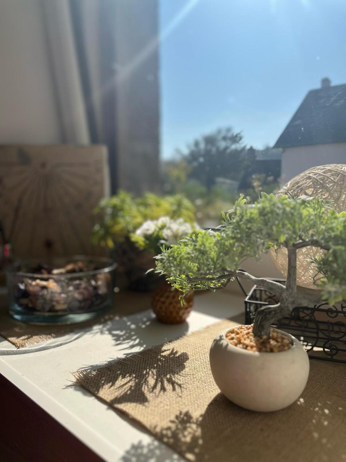 Le Gite De La Menuiserie Maisoncelles-la-Jourdan エクステリア 写真